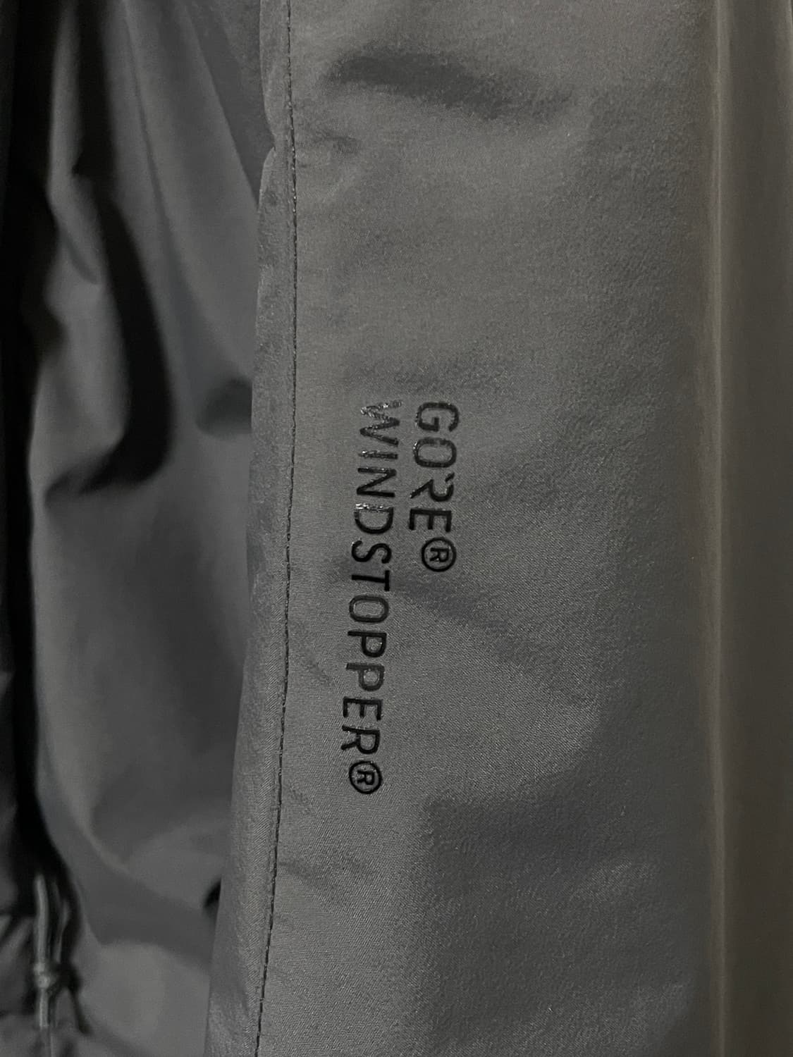 아크테릭스 리프 콜드 울프 L 상품이미지6