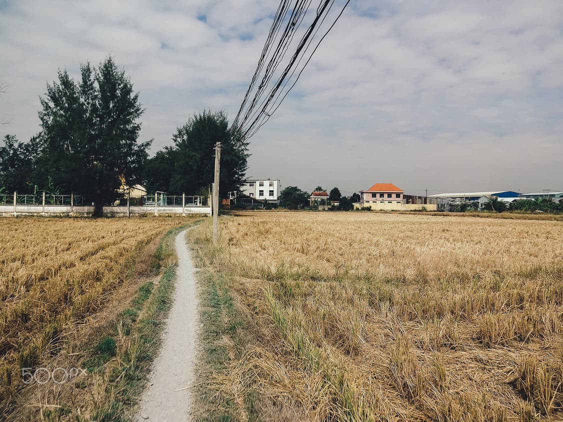 (꾸미기 기능) 소니 사이버샷 DSC-WX170 빈티지디카 디지털카메라 상품이미지10