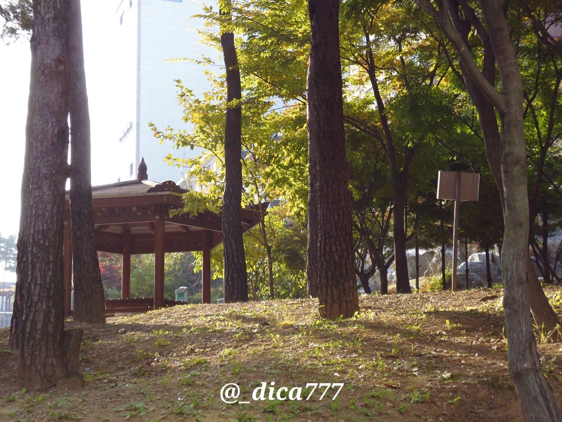 파나소닉 DMC-FH10 디카 풀박스 상품이미지10