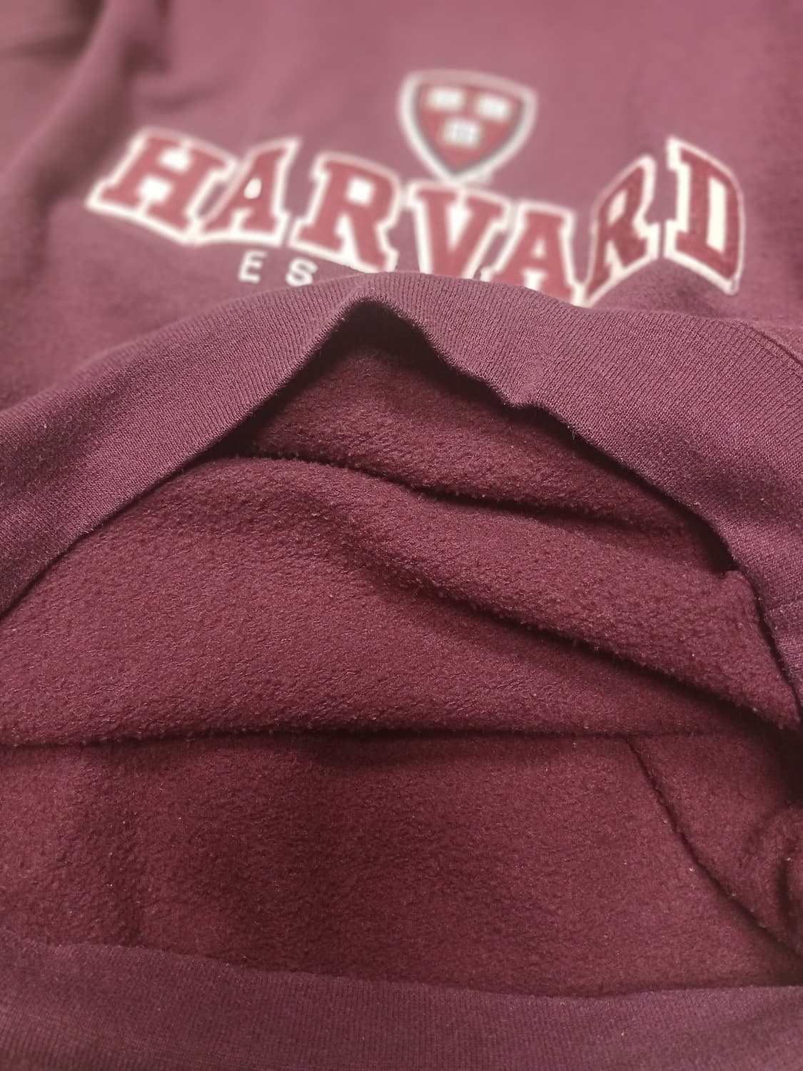 챔피온 하버드 후드티 버건지  상품이미지4