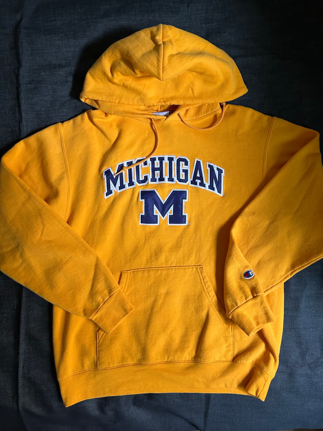 Champion Michigan Hoodie 상품이미지1
