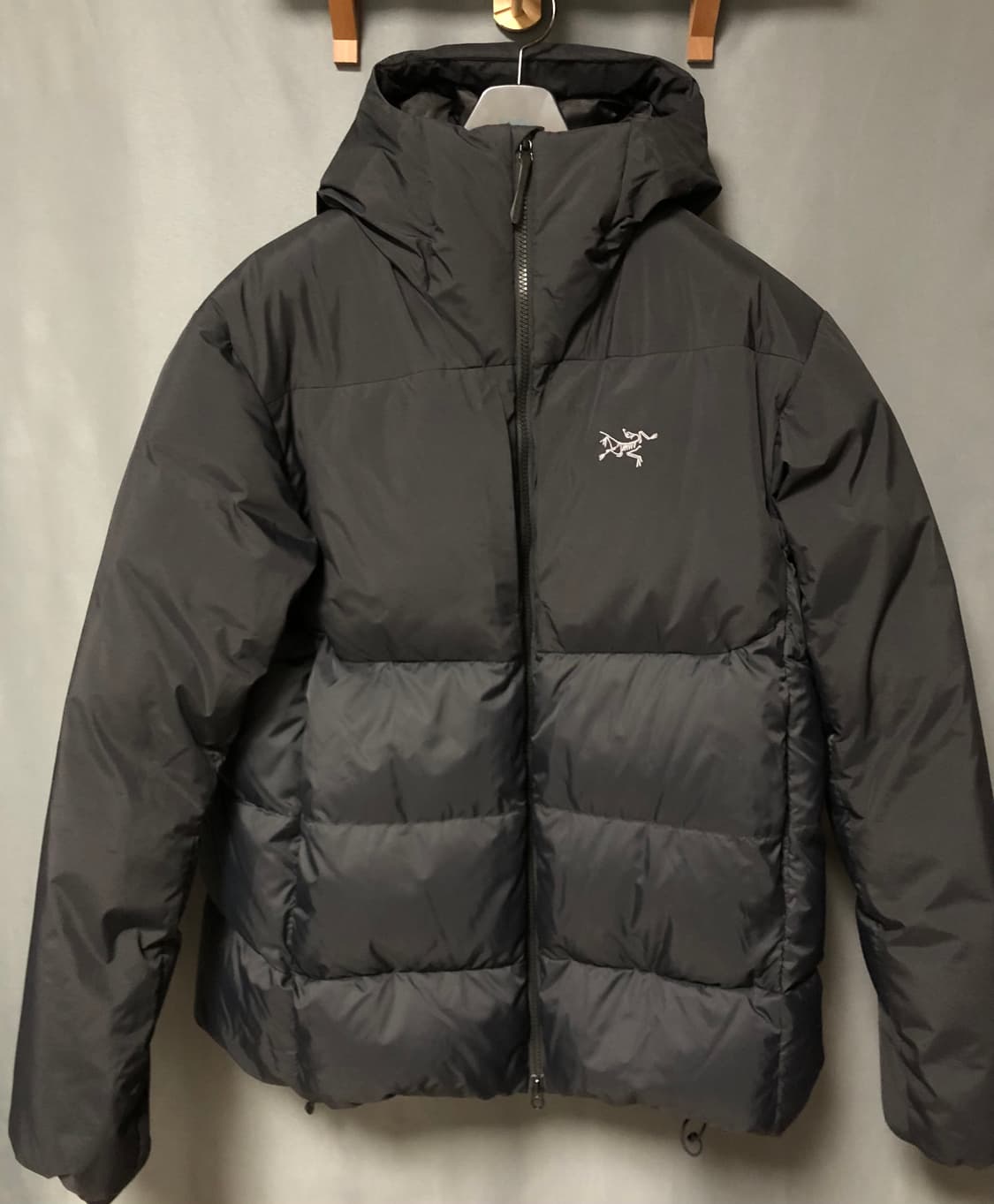 아크테릭스 토륨 sv 후디 상품이미지2