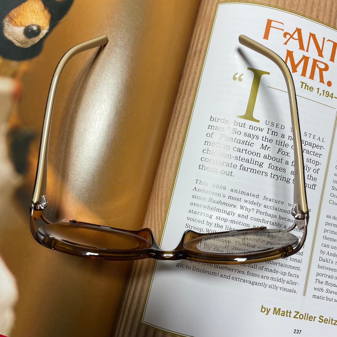 ETRO 에트로 선글라스 명품 안경 상품이미지4