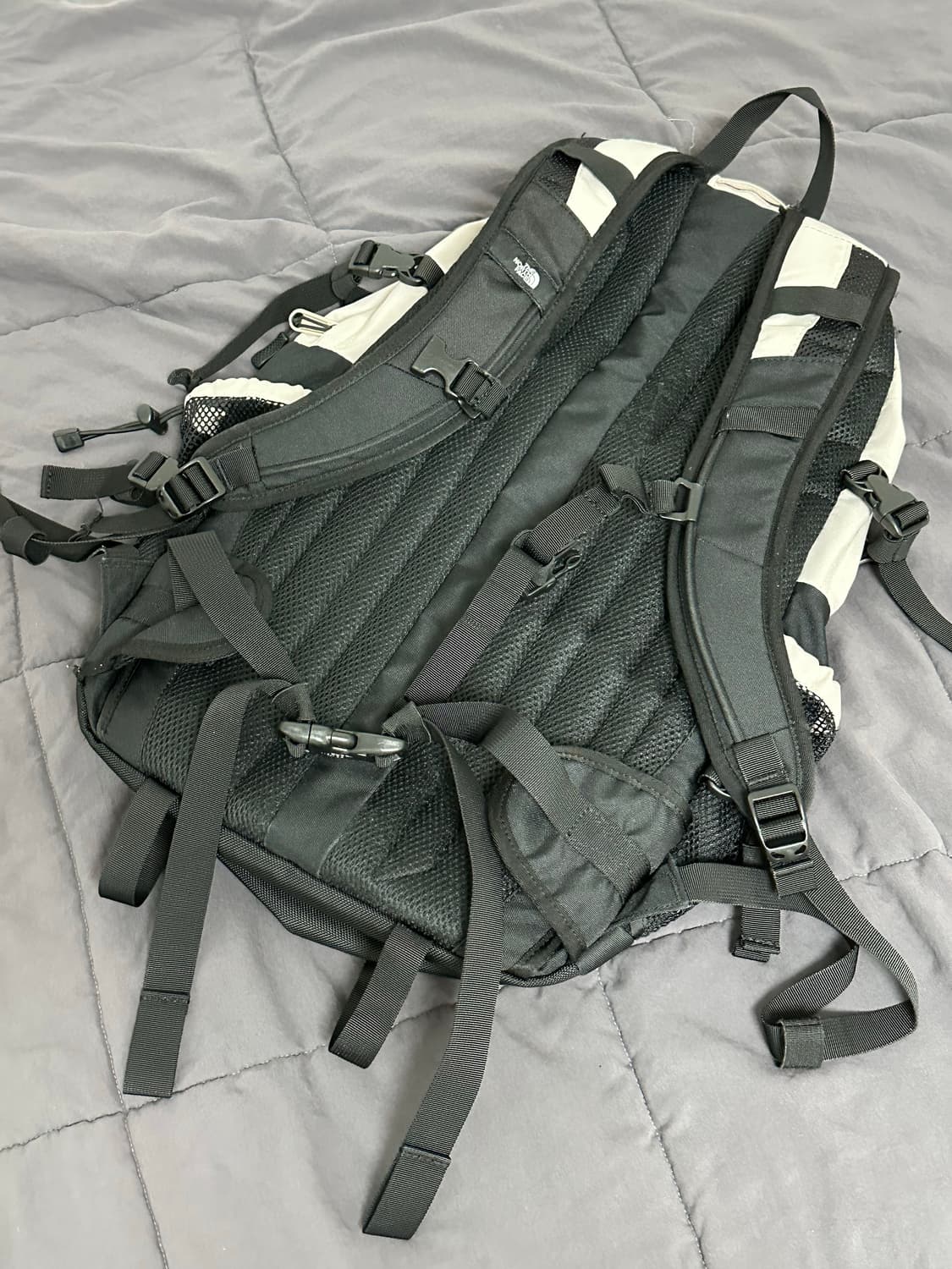 노스페이스 빅샷 백팩 베이지 상품이미지2