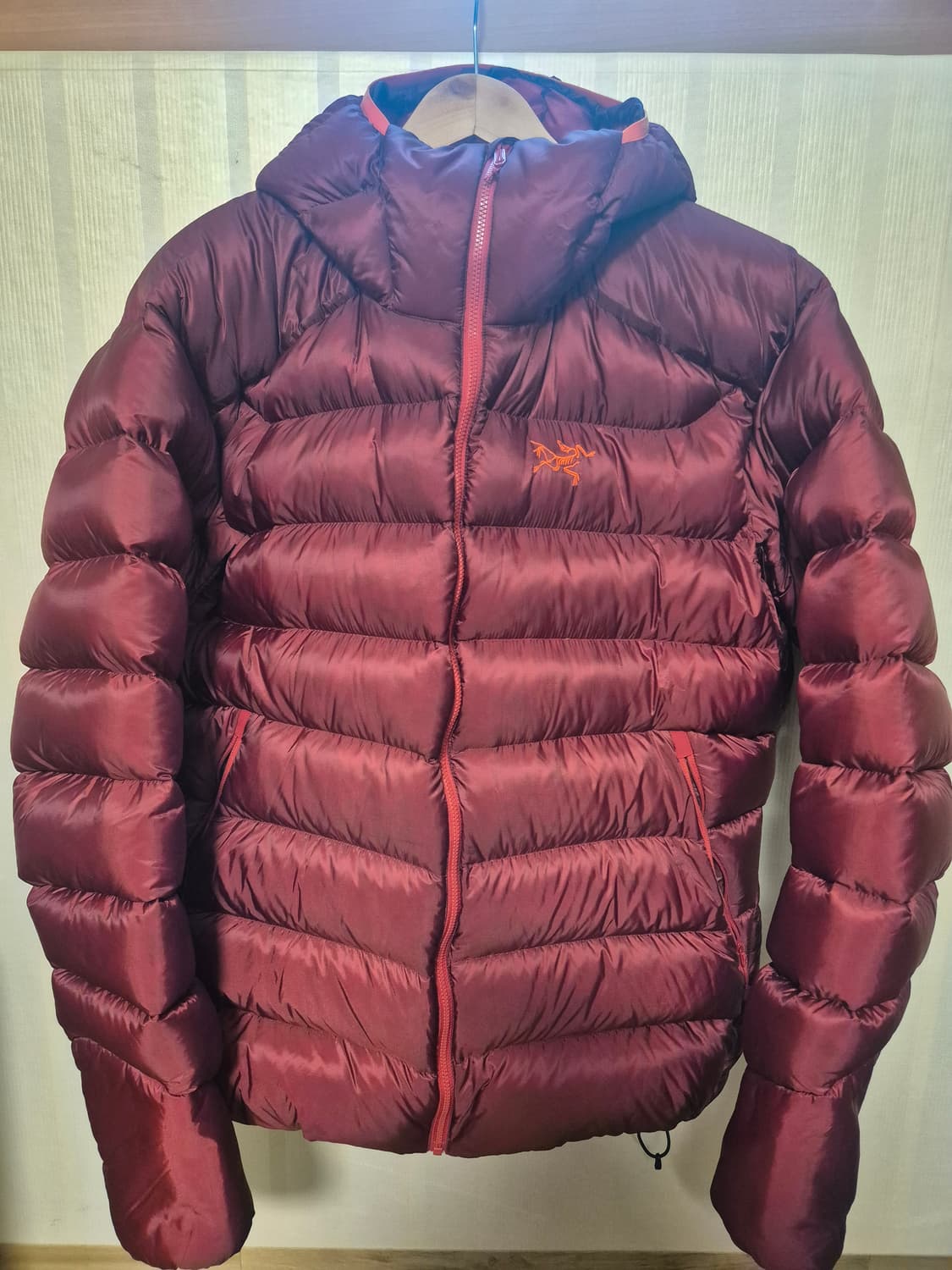 아크테릭스 세륨 SV 팝니다. 상품이미지1