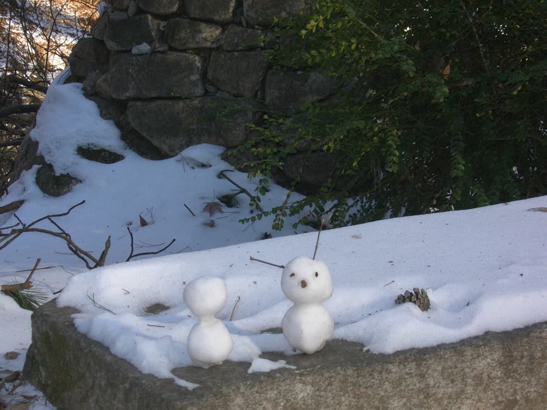 작례o/ 최애기종/ jvc x900 빈티지 캠코더 상품이미지7