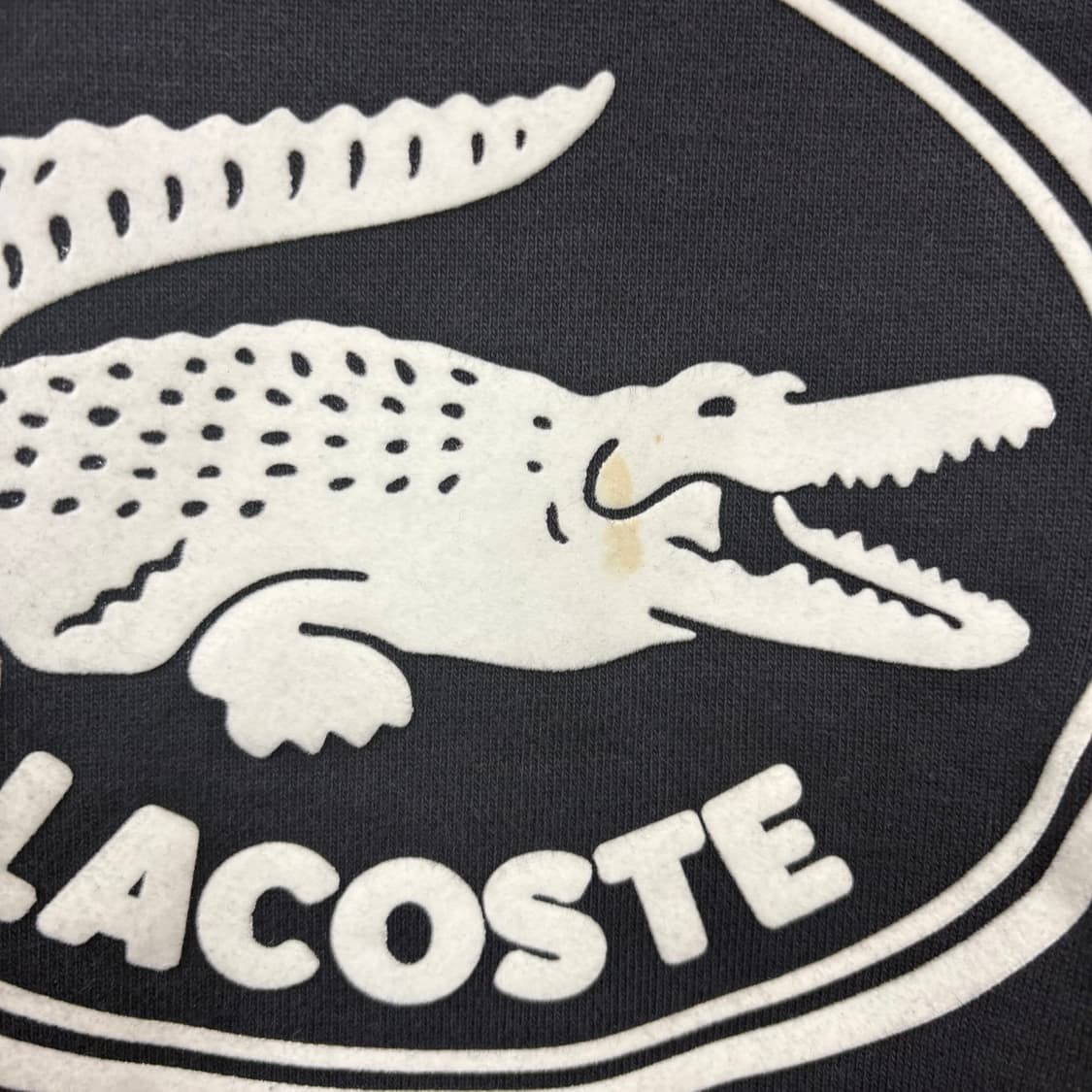라코스테 맨투맨 상품이미지3