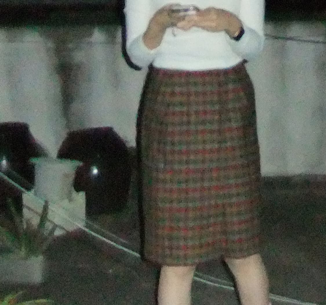 디올 스포츠 체크 미디 스커트 상품이미지3