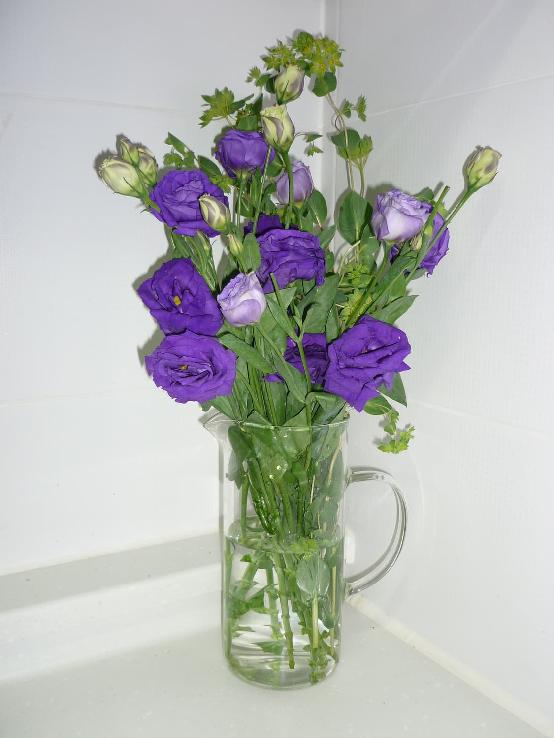 파나소닉 루믹스 DMC-FS6  상품이미지5