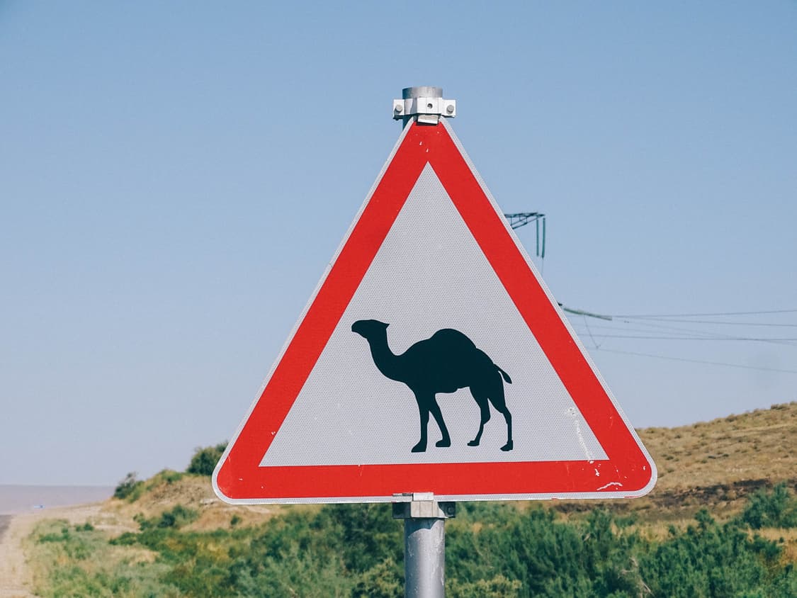 Fujifilm Finepix MX-1700Z 상품이미지9