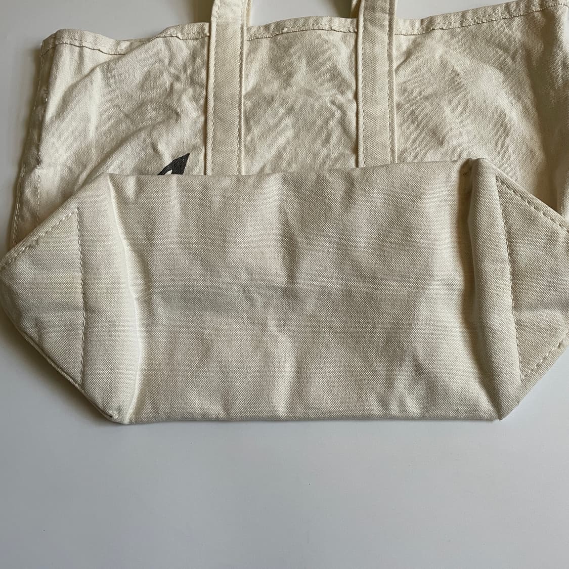 Anatomica 상품이미지5