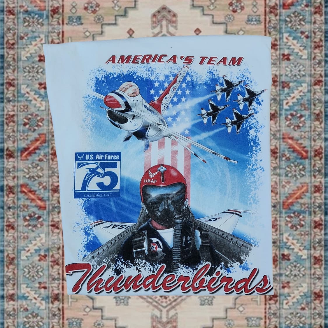 Gildan USAF Thunderbirds 백프린트 티셔츠 L 상품이미지3