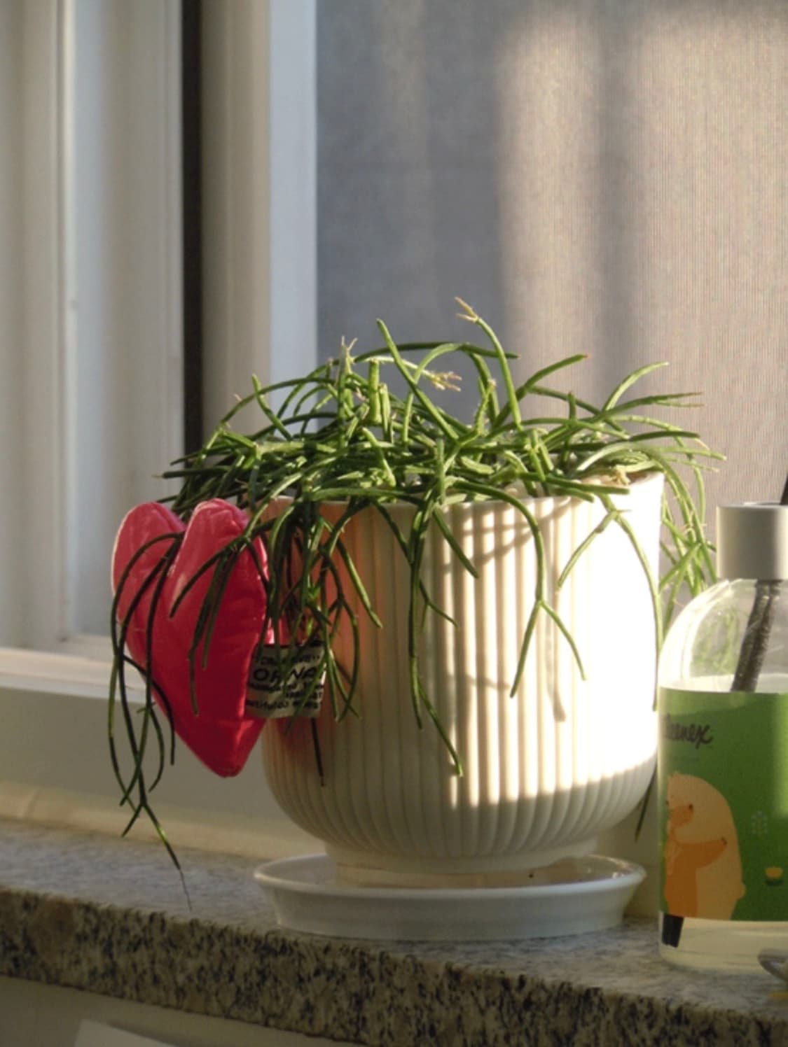 니콘 쿨픽스 S6000 상품이미지9