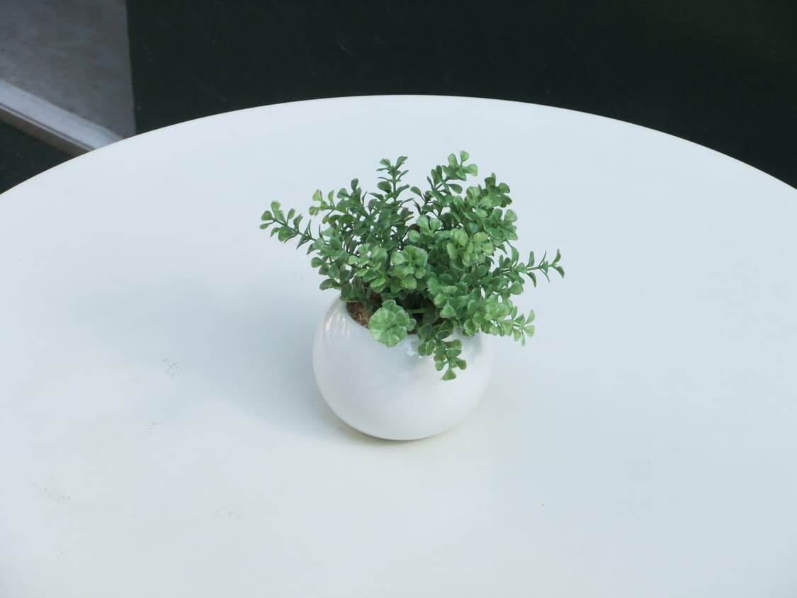 준 민트급 원희 채원 카메라 후지필름 파인픽스 F70EXR 작례o 상품이미지3