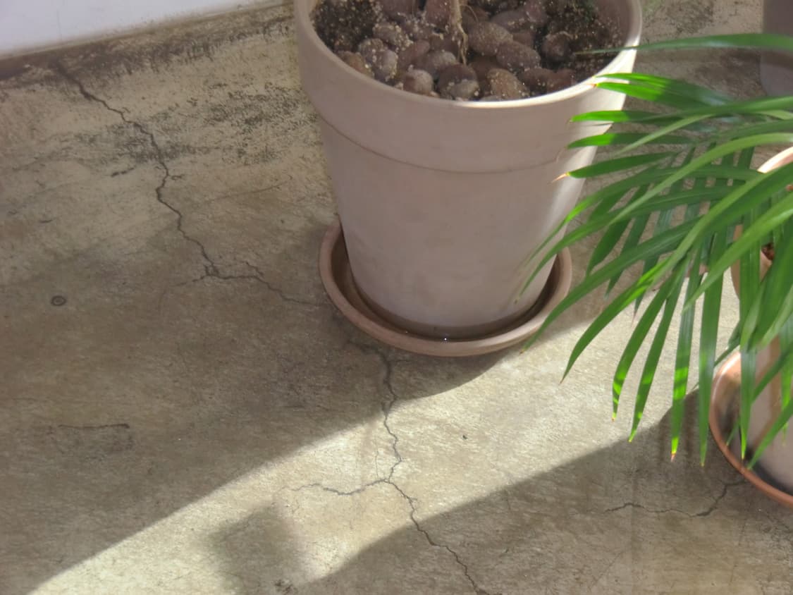 (작례 있음) 카시오 엑슬림 H10 골드 상품이미지10