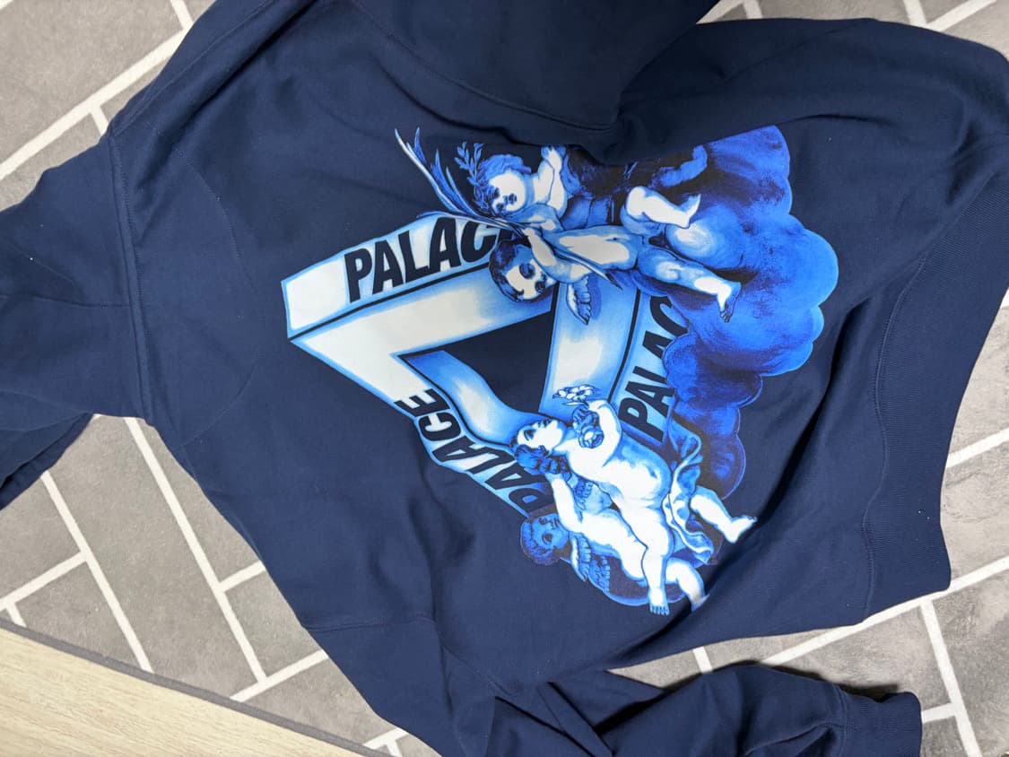 (XL)팔라스 트라이 엔젤릭 후드 25FW 상품이미지3