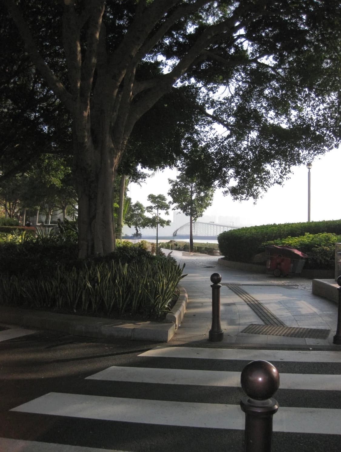 캐논 익서스 90IS 미우미우 디카 작례O 상품이미지3