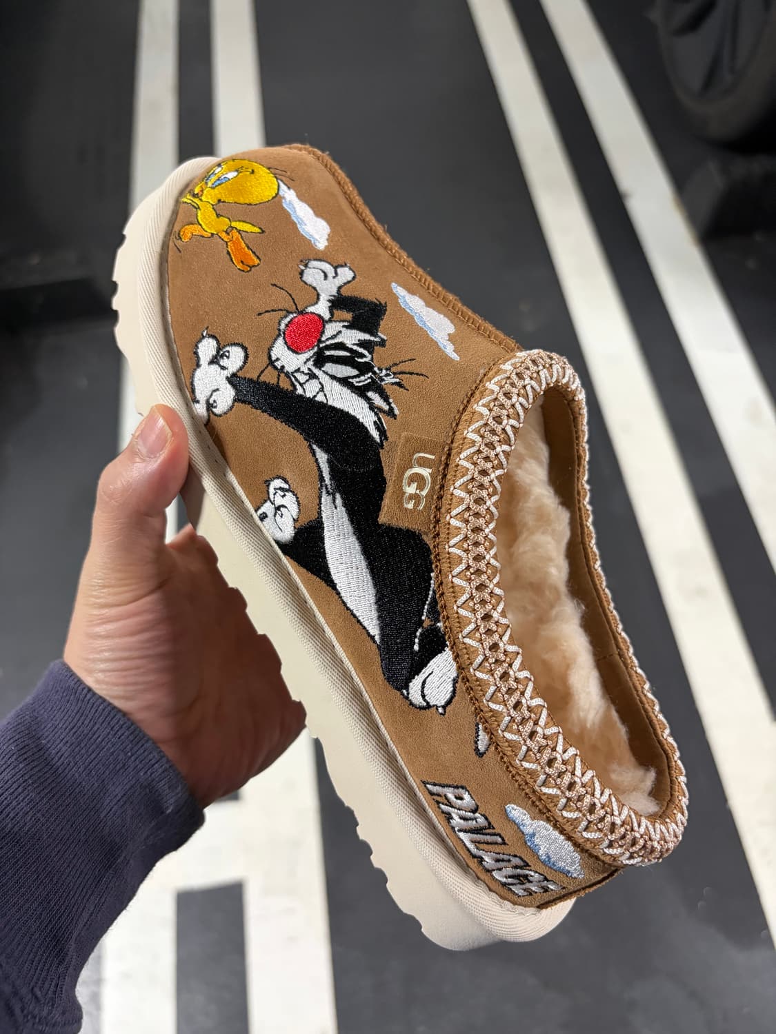 팔라스 어그 타스만 ,울트라 미니 260 판매 상품이미지1