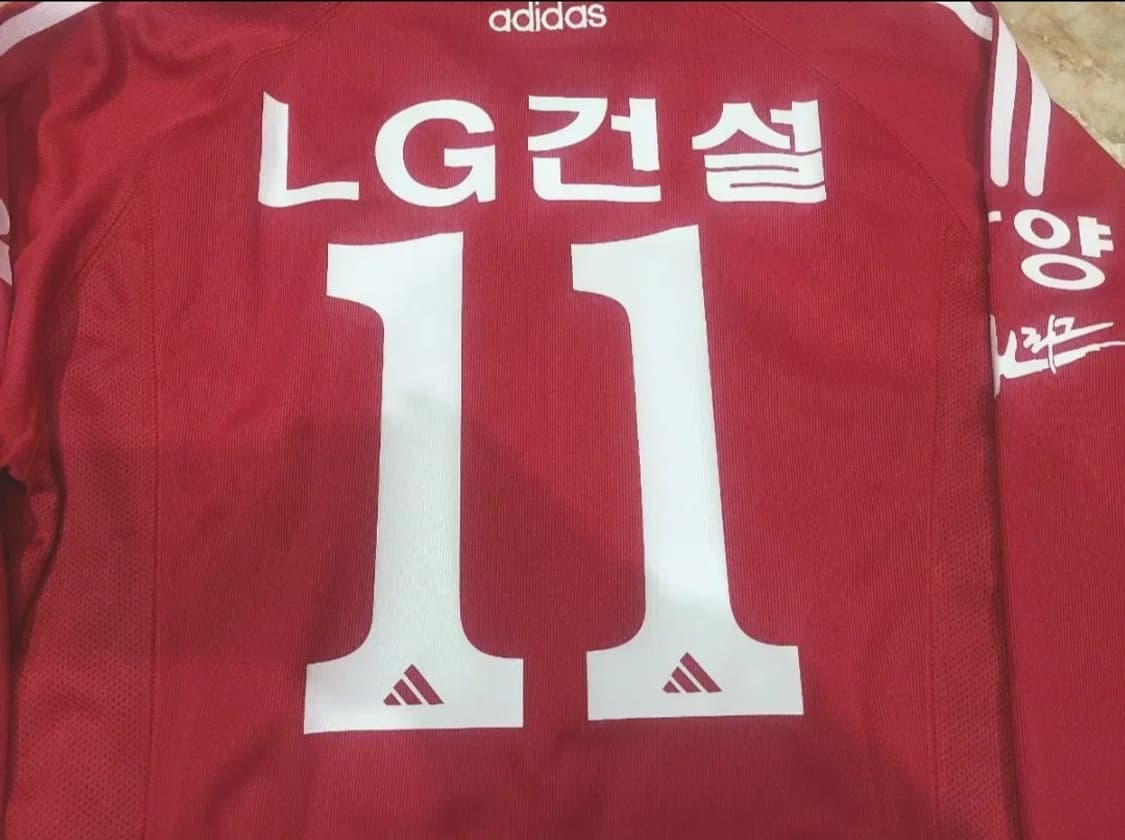 2003 안양LG 올드레플 축구져지 상품이미지9