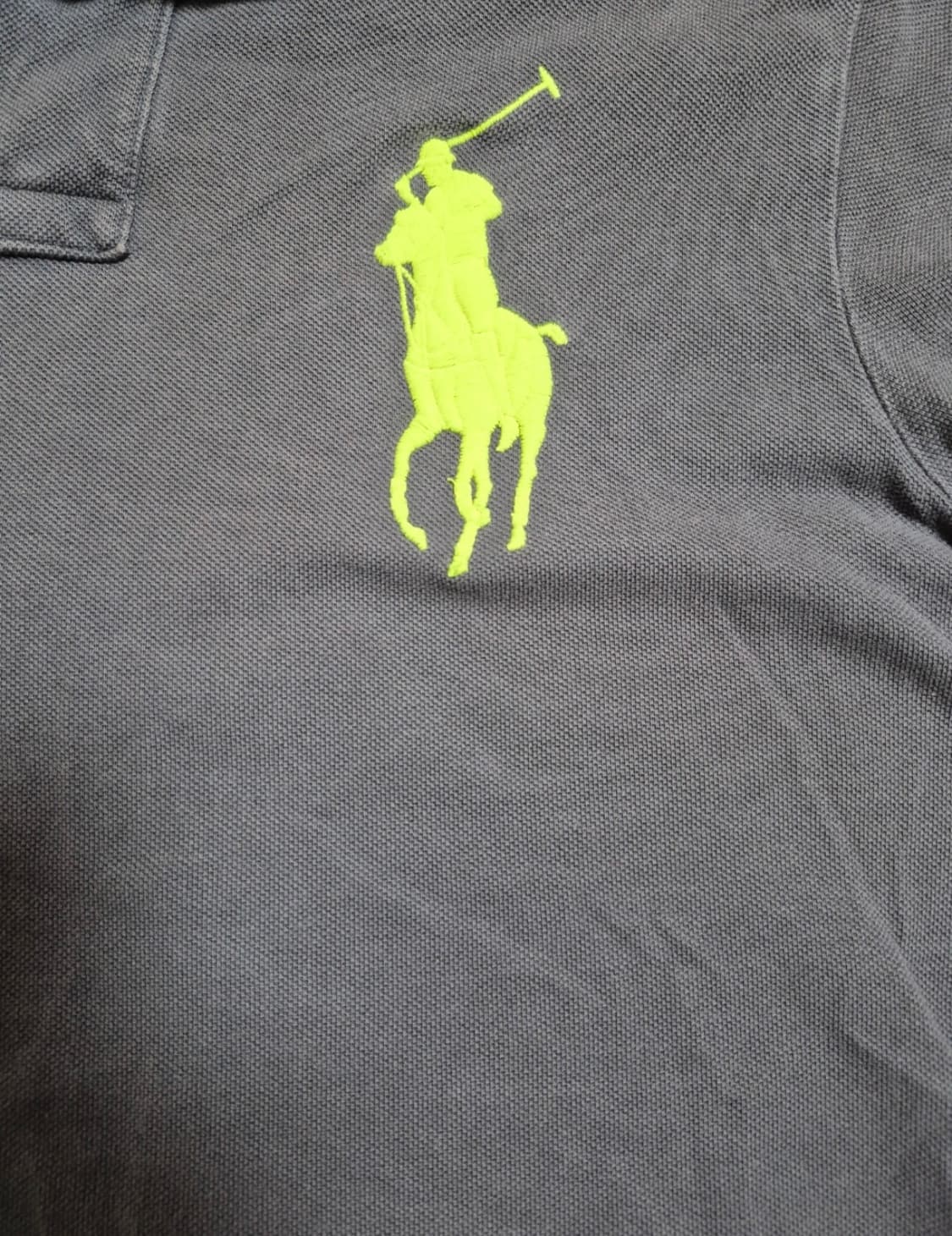 폴로 빅포니 카라티 반팔 상품이미지2