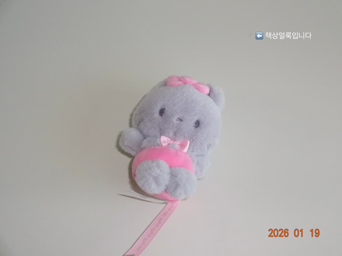 새상품급) 소니 사이버샷 WX200 핑크 / 디지털카메라 빈티지디카 상품이미지8