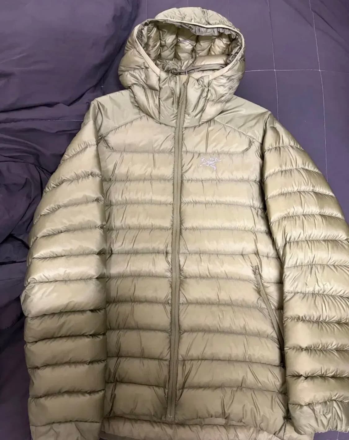 아크테릭스 세륨 후디 LT m 상품이미지1