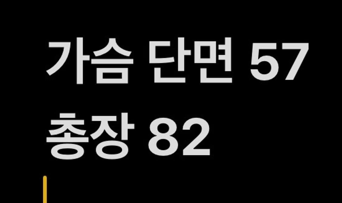 [정품/110] 롯데자이언츠 올드 유니폼 47 강민호 마킹 b16 상품이미지6