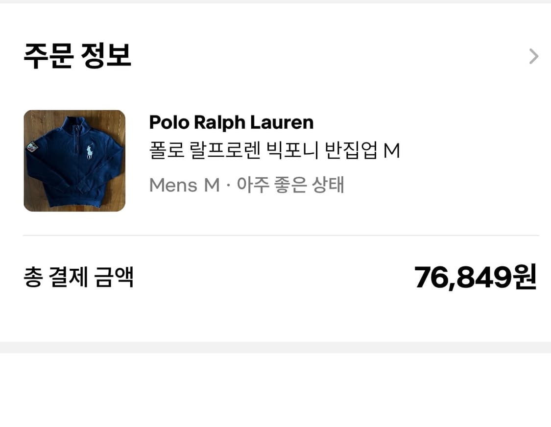 폴로 랄프로렌 빅포니 반집업 상품이미지2