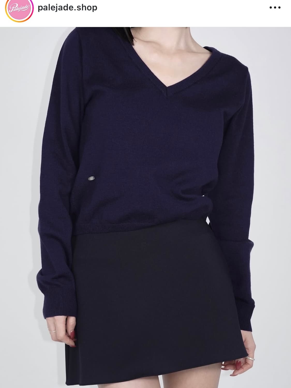 Palejade | standard v-neck knit (navy) 상품이미지1