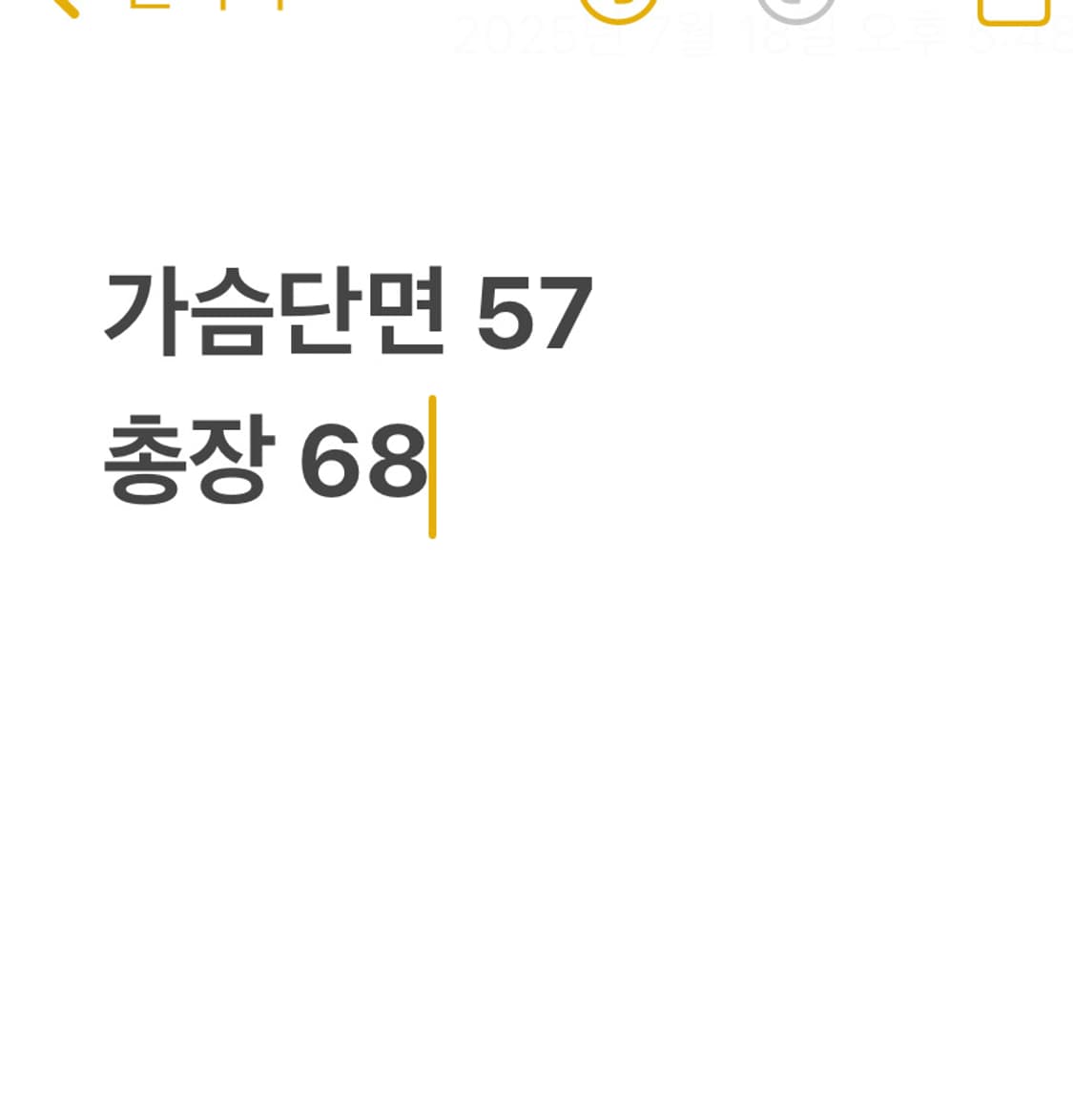 버버리 화이트 셔츠 상품이미지6