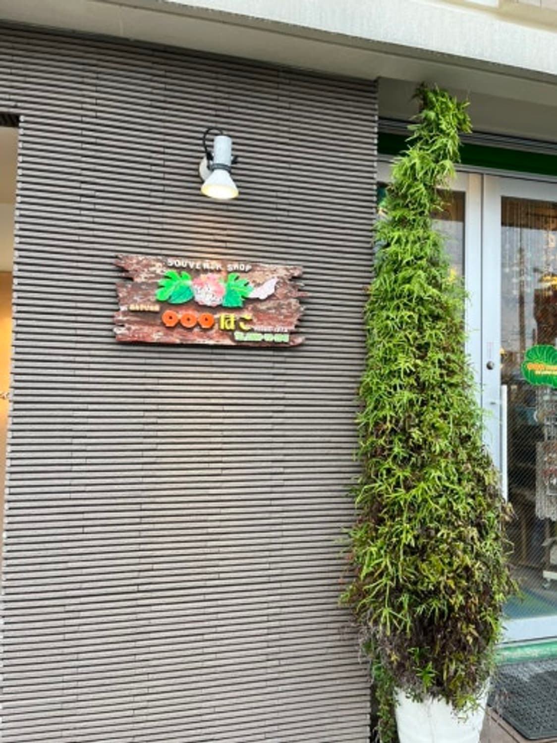 캐논 파워샷 G12 디카 (빈티지 카메라) 상품이미지8