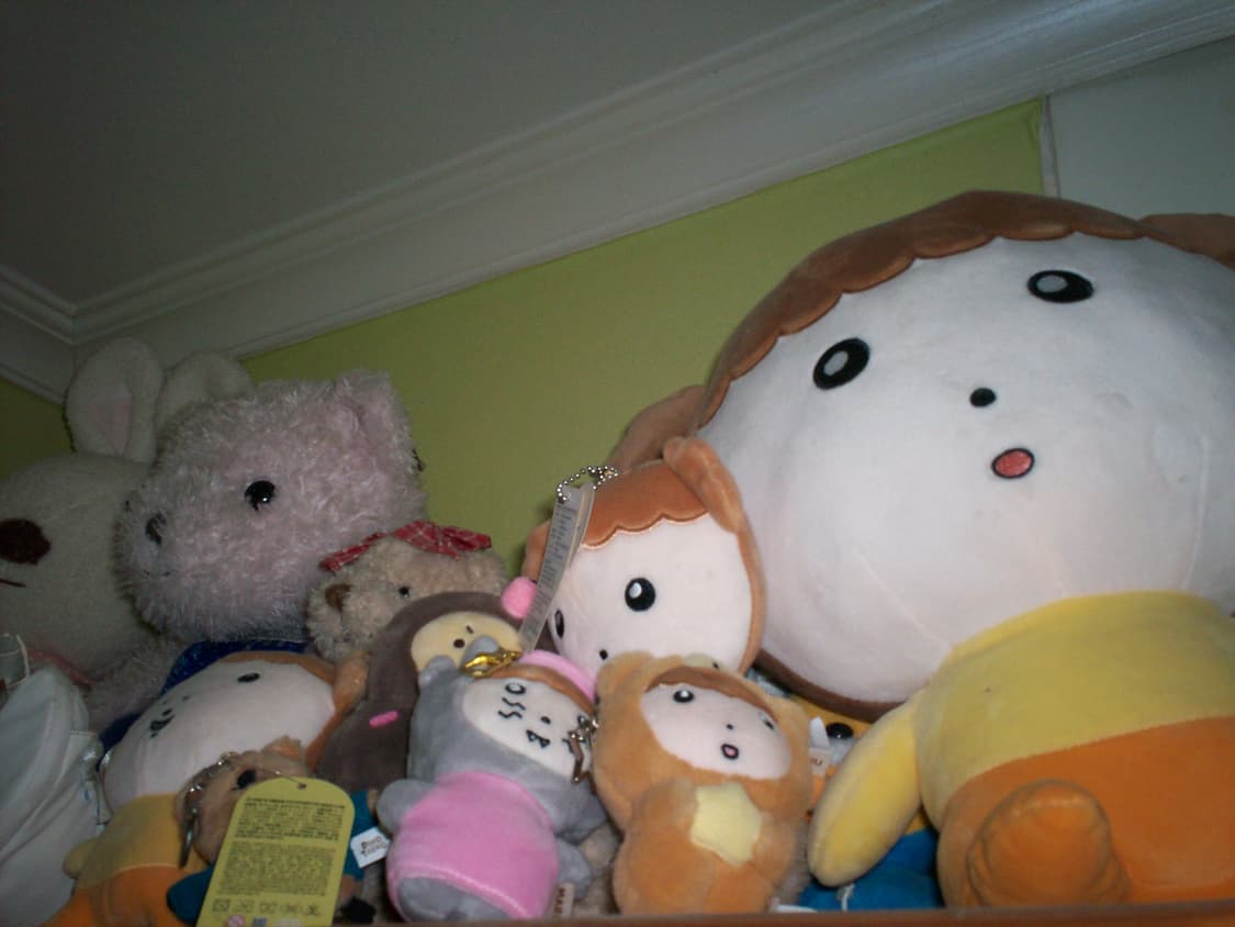 [판매] 코닥 이지쉐어 c530(c315) (작례 O) 상품이미지5