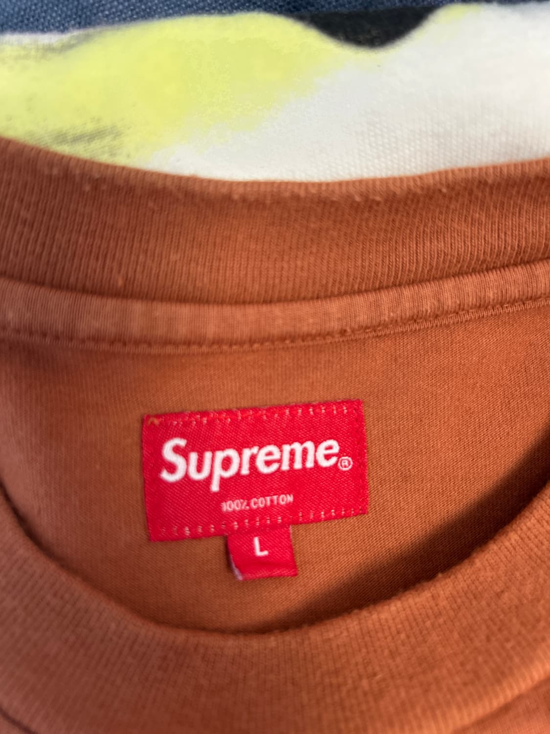 SUPREME 21시즌 뱀파이어 자수 롱슬리브 L 상품이미지5