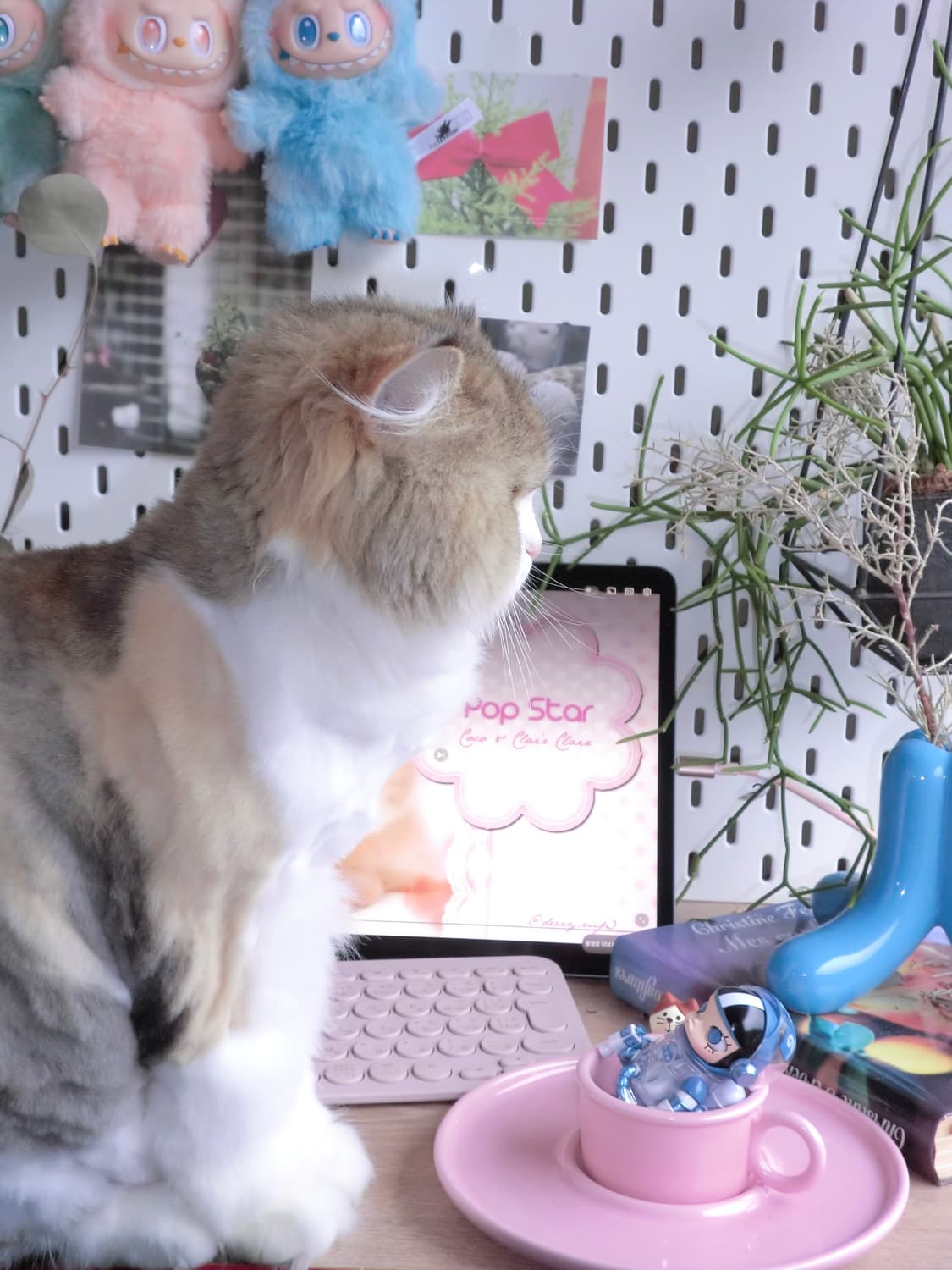 ❤︎로제 나연 픽❤︎카시오 엑실림 EX-Z2300 빈티지디카 무광 블랙 상품이미지10