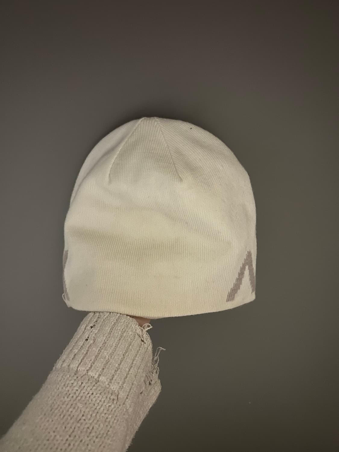 아크테릭스 비니 상품이미지2