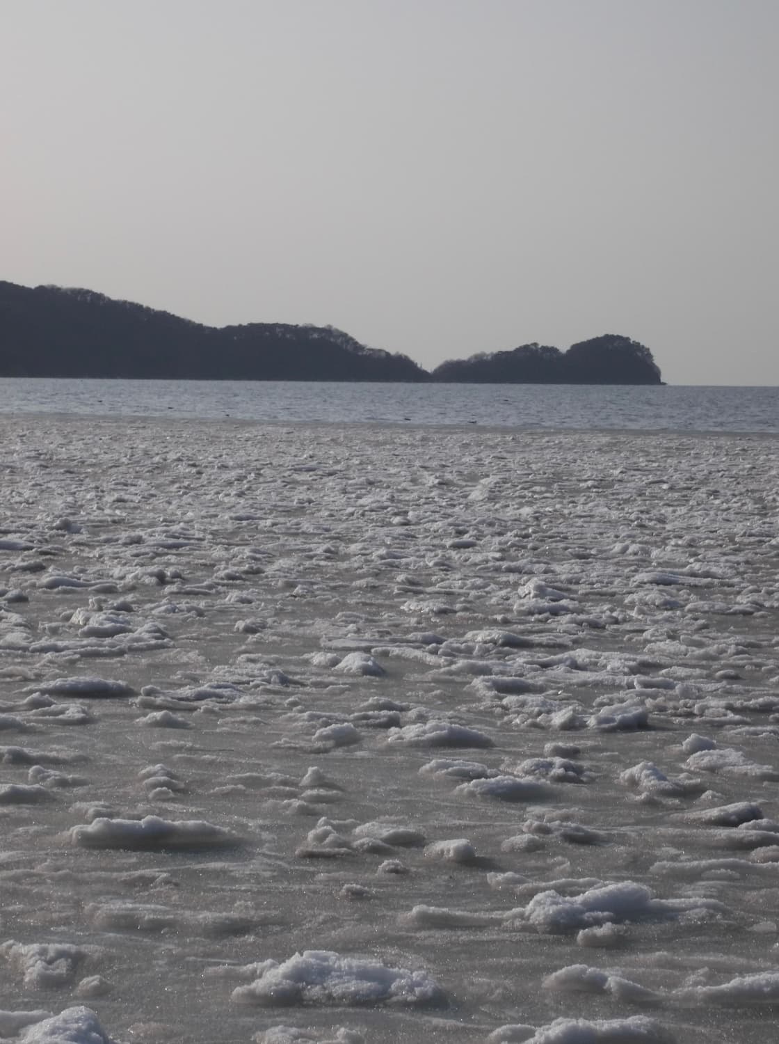 후지필름 파인픽스 JV250 빈티지디카 디지털카메라 상품이미지9