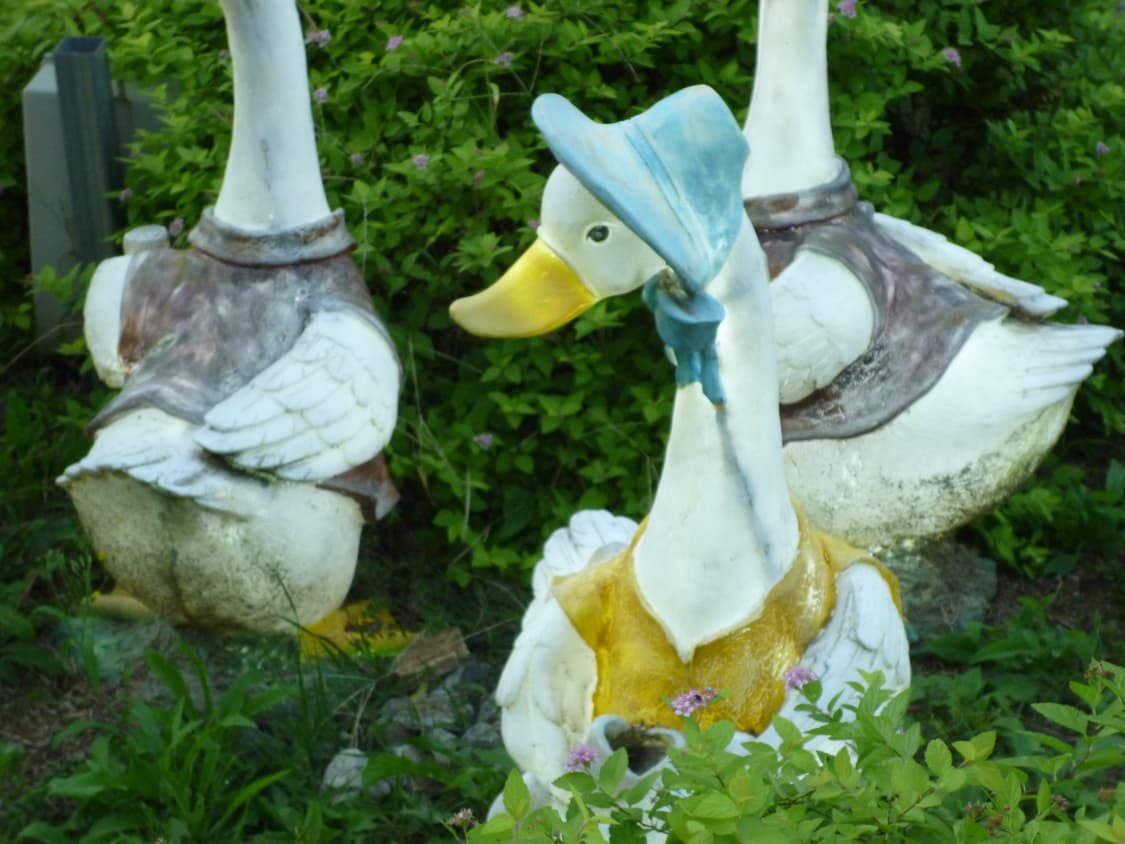 파나소닉 루믹스 DMC-S1 핑크 (작례 O) 상품이미지7