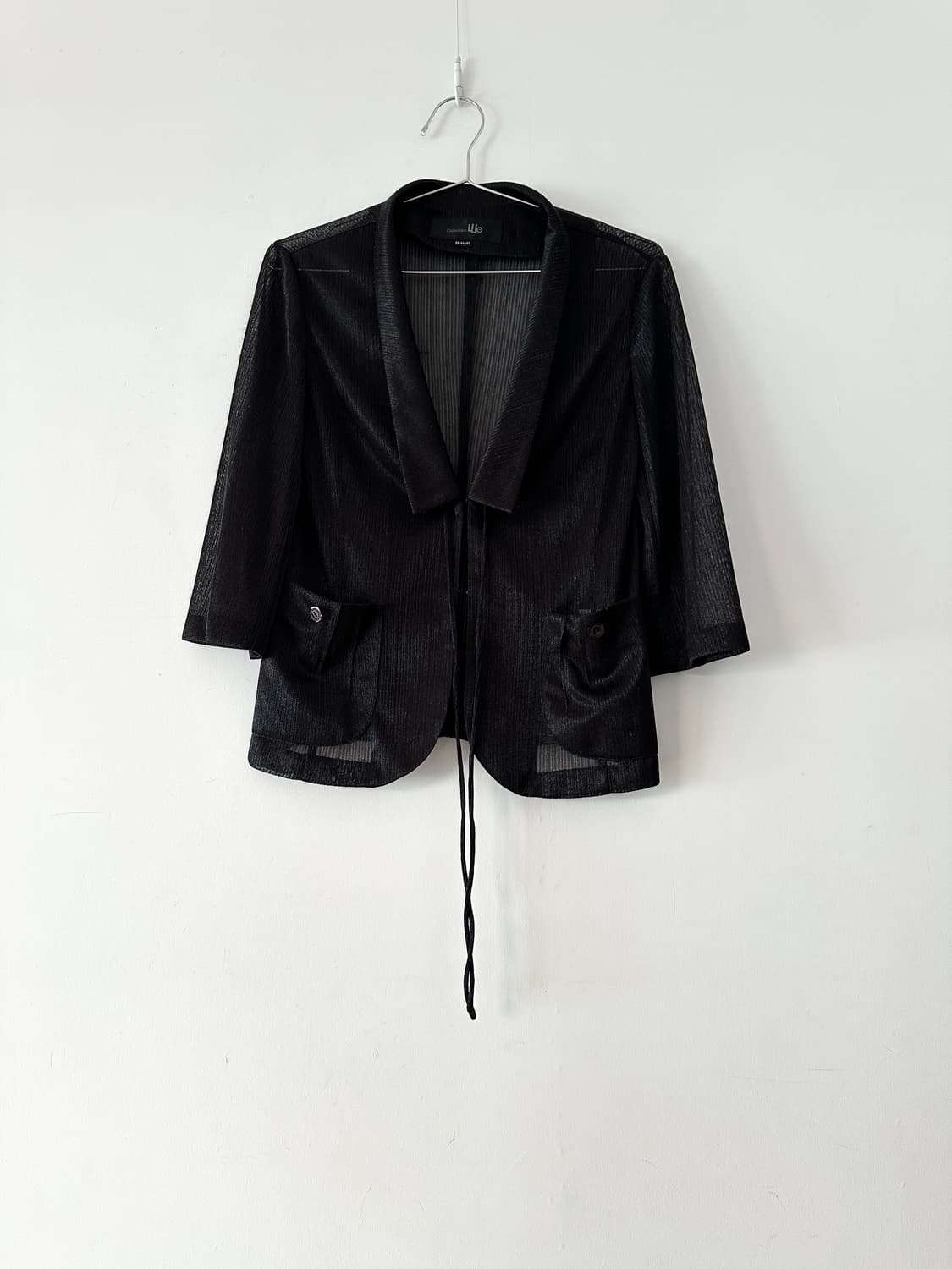Sheer classic strape glitter blouse  상품이미지1