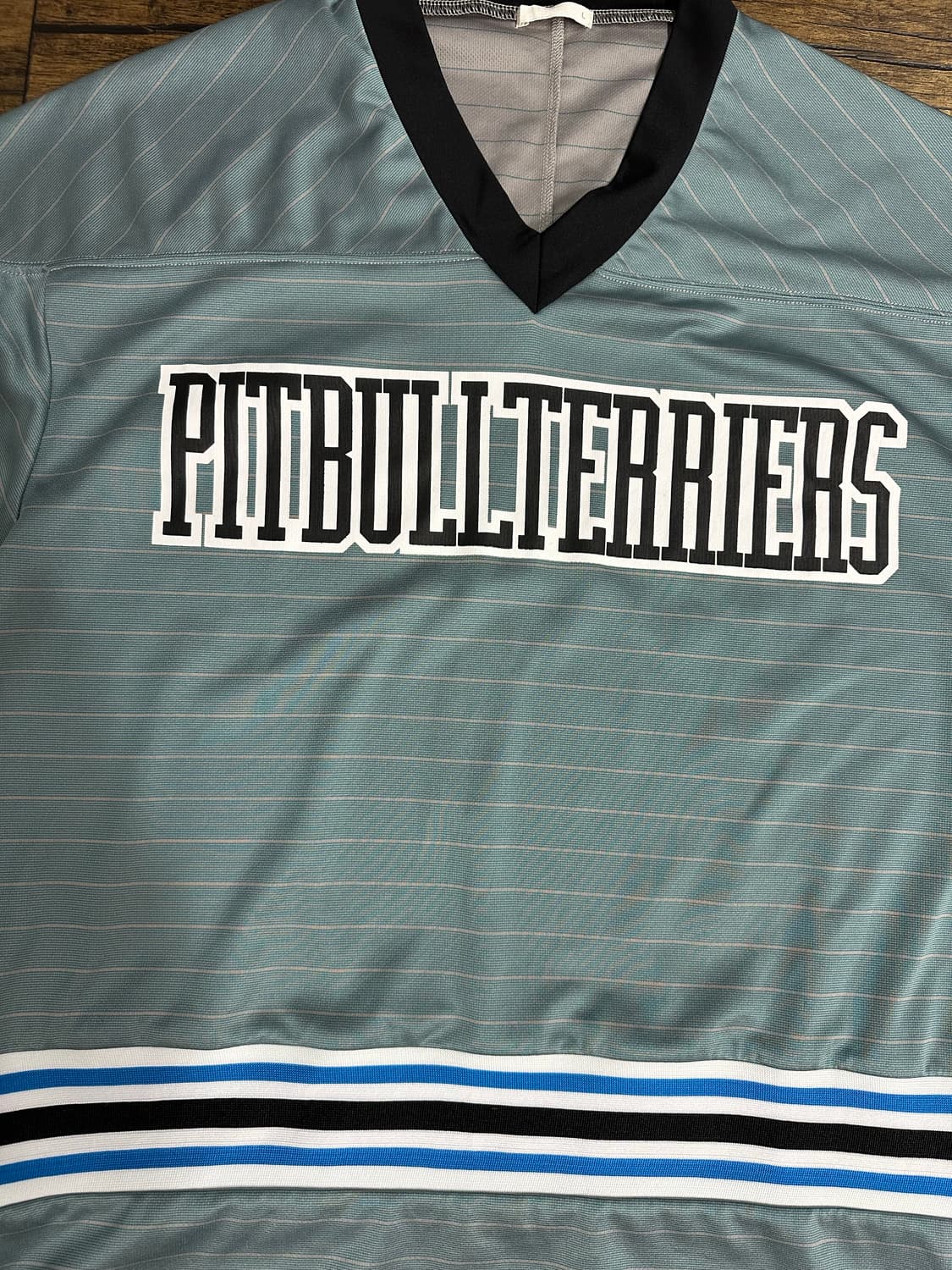 Y2K PITBULL TERRIERS 블록코어 스트릿 게임셔츠 100 상품이미지2