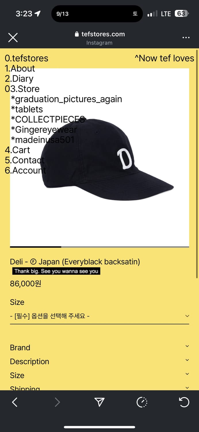 Tefstores 볼캡 블랙 라지 상품이미지1
