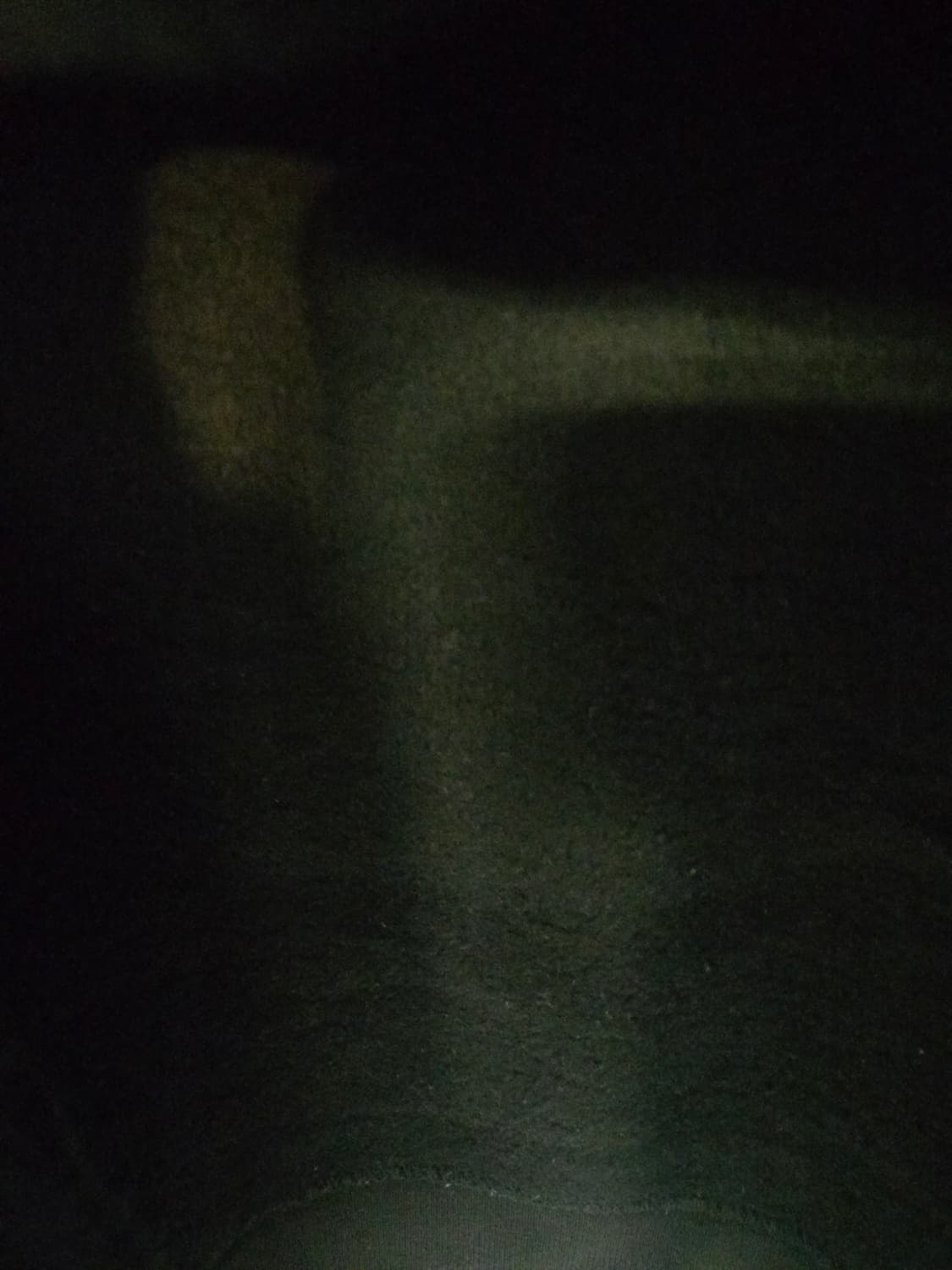 아크네스튜디오 핀트페이스 오버핏 맨투맨 상품이미지9