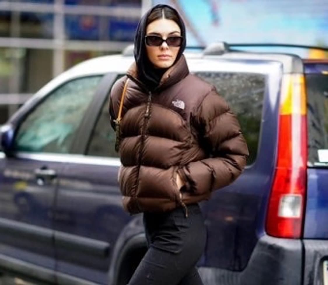 노스페이스 켄달제너 눕시 700 상품이미지1