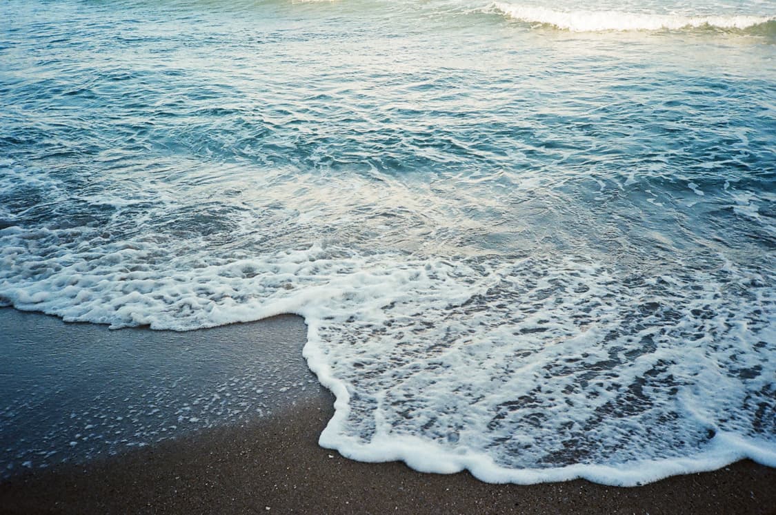 올림푸스 XA 카메라 판매 합니다 상품이미지10