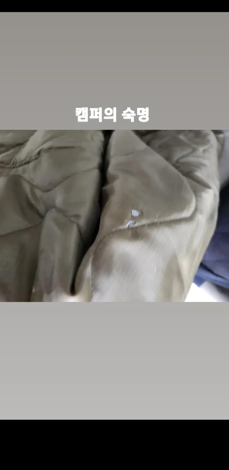 라퍼지 스토어 피쉬 티일 파카 (개파카)L 상품이미지3