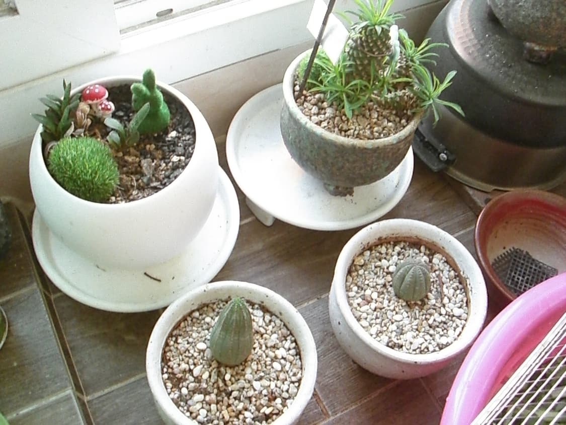 [작례O] 카시오 엑슬림 EX-Z600 CASIO EXILIM 실버 상품이미지10