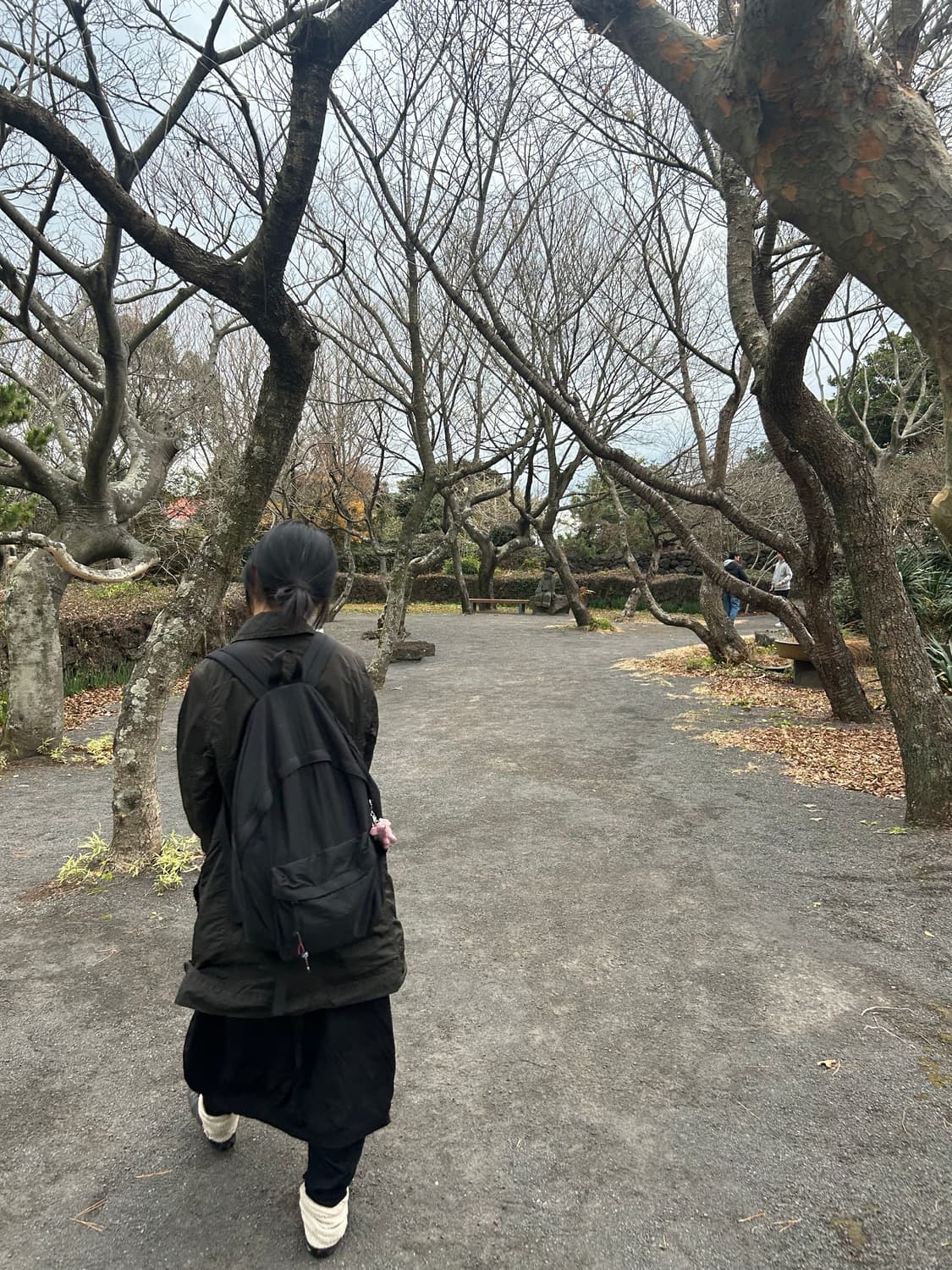 C.P. Company 자켓 상품이미지10