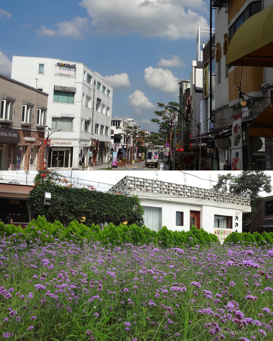 인물사진추천/노란기없는작례✨SONY DSC-WX170 소니 디카 카메라 상품이미지10