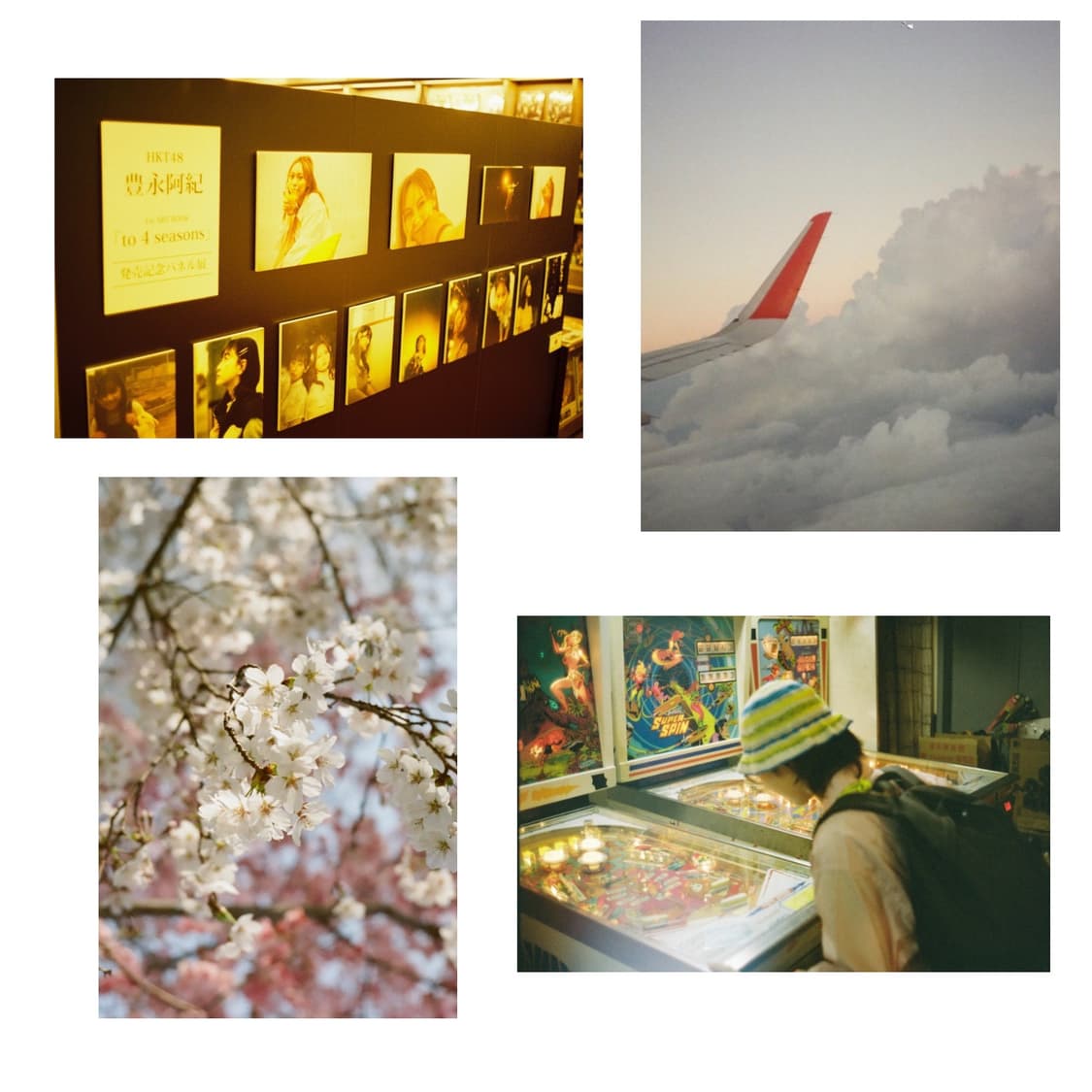 필름카메라 야시카의 명기 일렉트로 35gl (작례 0) 상품이미지4