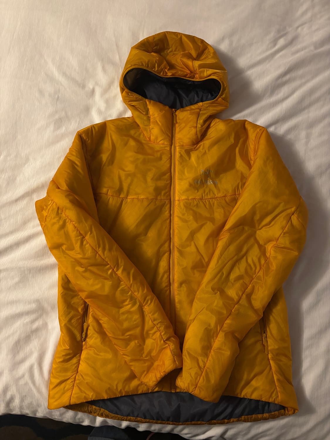 아크테릭스 누클리아이 fl  L사이즈 상품이미지2