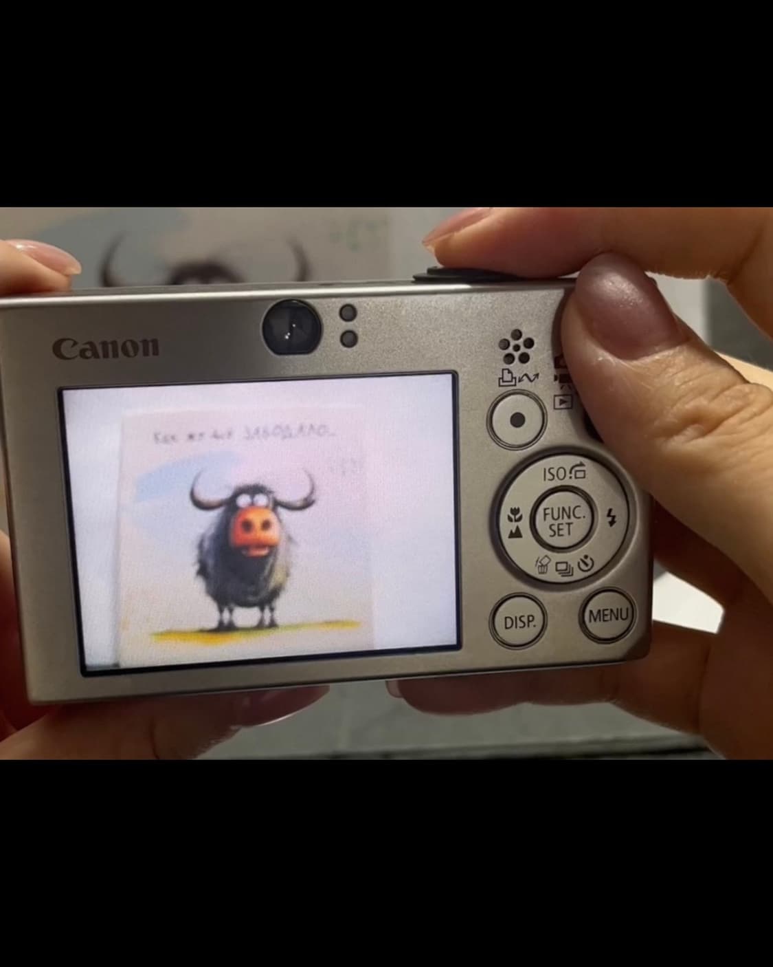 A급)캐논 익서스 70 CANON IXUS 70 빈티지 디지털카메라 디카 상품이미지8